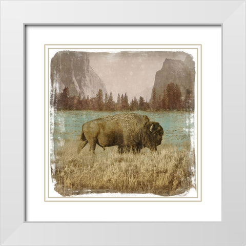 Bison in the Park White Modern Wood Framed Art Print with Double Matting by Meneely, Dan