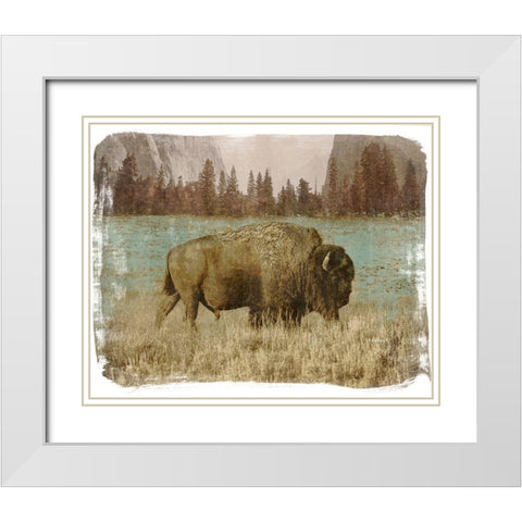 Bison in the Park White Modern Wood Framed Art Print with Double Matting by Meneely, Dan