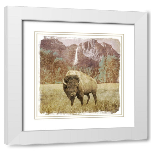 Bison Falls White Modern Wood Framed Art Print with Double Matting by Meneely, Dan