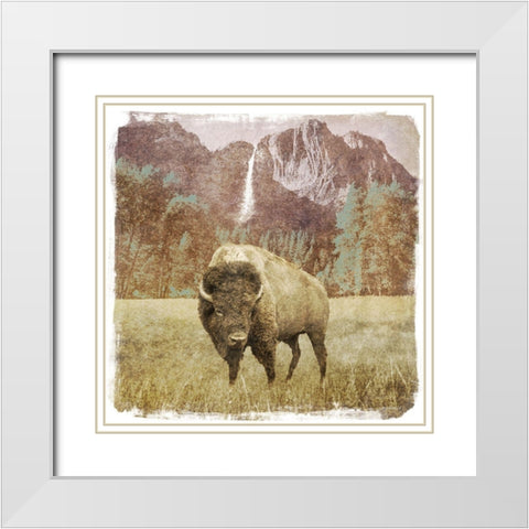 Bison Falls White Modern Wood Framed Art Print with Double Matting by Meneely, Dan