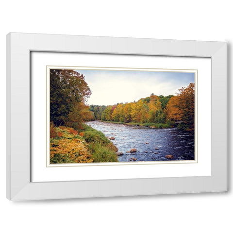 Scenic River White Modern Wood Framed Art Print with Double Matting by Poynter, Kelly