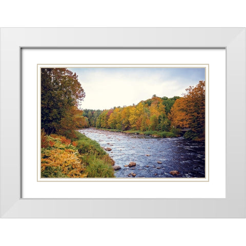 Scenic River White Modern Wood Framed Art Print with Double Matting by Poynter, Kelly
