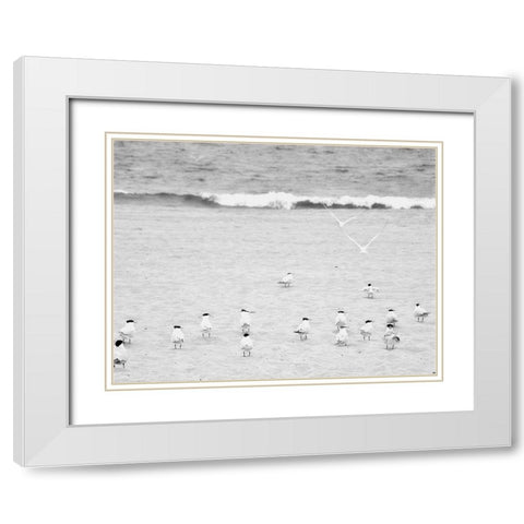 The Coastline Flock White Modern Wood Framed Art Print with Double Matting by Bill Carson Photography