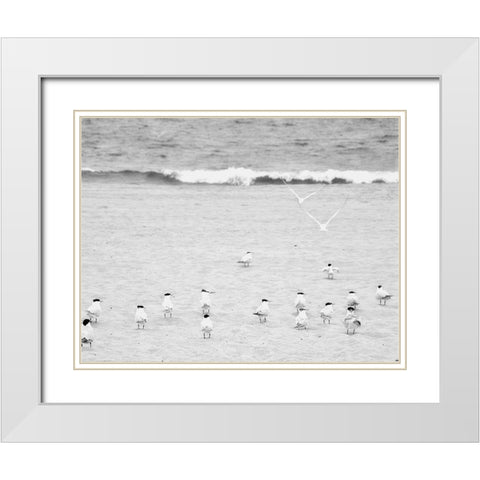 The Coastline Flock White Modern Wood Framed Art Print with Double Matting by Bill Carson Photography