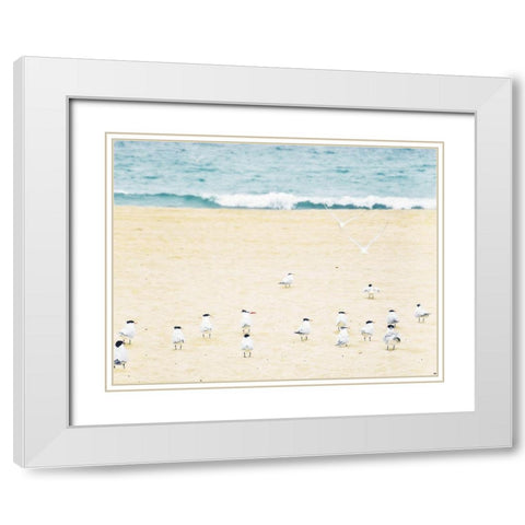 Relaxed Seagulls White Modern Wood Framed Art Print with Double Matting by Bill Carson Photography
