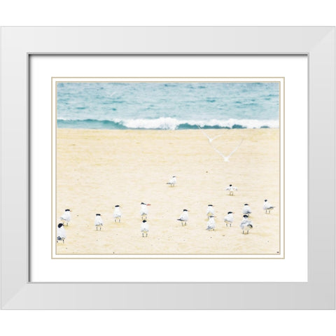 Relaxed Seagulls White Modern Wood Framed Art Print with Double Matting by Bill Carson Photography
