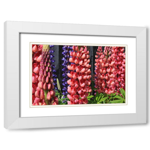 Joyful Flowers White Modern Wood Framed Art Print with Double Matting by Coppel, Anna