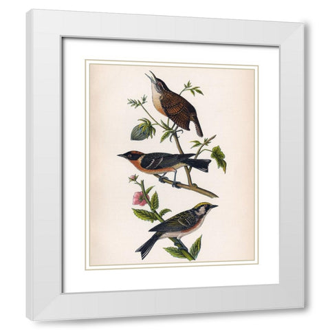 Bird Branch White Modern Wood Framed Art Print with Double Matting by Piddix