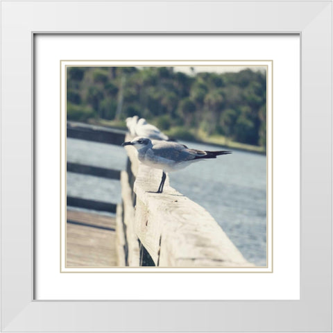 Look Out Dock I White Modern Wood Framed Art Print with Double Matting by Peck, Gail