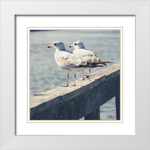 Look Out Dock II White Modern Wood Framed Art Print with Double Matting by Peck, Gail