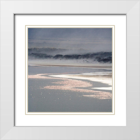 Flamingo Land Square White Modern Wood Framed Art Print with Double Matting by Walker, Carol