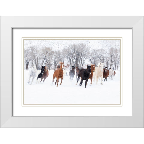 Winter Run White Modern Wood Framed Art Print with Double Matting by Walker, Carol