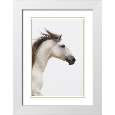 Straight Ahead White Modern Wood Framed Art Print with Double Matting by Walker, Carol