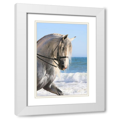Trot on the Beach White Modern Wood Framed Art Print with Double Matting by Walker, Carol