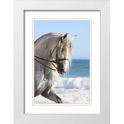 Trot on the Beach White Modern Wood Framed Art Print with Double Matting by Walker, Carol