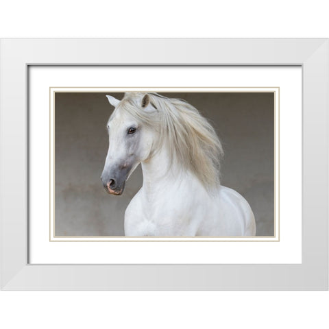 Calm Beauty White Modern Wood Framed Art Print with Double Matting by Walker, Carol