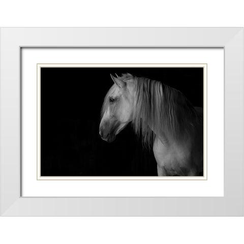 White Stallion in the Dark White Modern Wood Framed Art Print with Double Matting by Walker, Carol