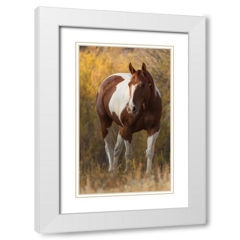 At Liberty White Modern Wood Framed Art Print with Double Matting by Walker, Carol
