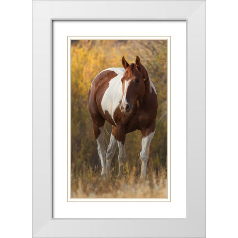 At Liberty White Modern Wood Framed Art Print with Double Matting by Walker, Carol