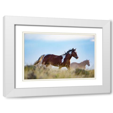 Eye Of The Horse White Modern Wood Framed Art Print with Double Matting by Walker, Carol