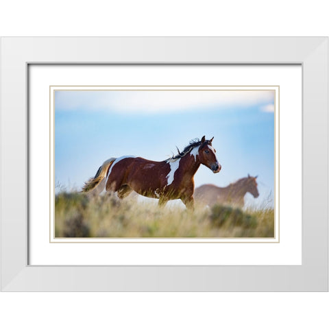 Eye Of The Horse White Modern Wood Framed Art Print with Double Matting by Walker, Carol