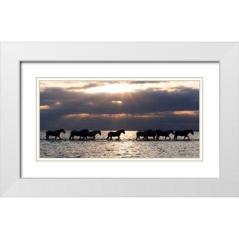 Camergue Horses At Dawn White Modern Wood Framed Art Print with Double Matting by Walker, Carol