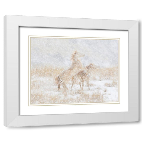Snow Day For The Mustangs White Modern Wood Framed Art Print with Double Matting by Walker, Carol