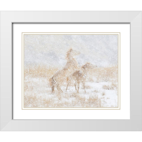 Snow Day For The Mustangs White Modern Wood Framed Art Print with Double Matting by Walker, Carol
