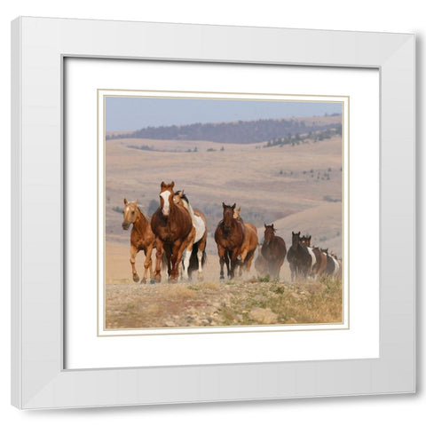 Run Wild White Modern Wood Framed Art Print with Double Matting by Walker, Carol