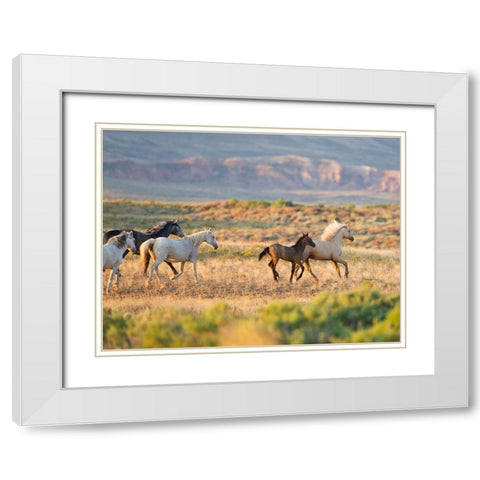 Morning Stroll White Modern Wood Framed Art Print with Double Matting by Walker, Carol