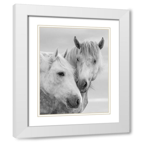 Horse Kisses White Modern Wood Framed Art Print with Double Matting by Walker, Carol