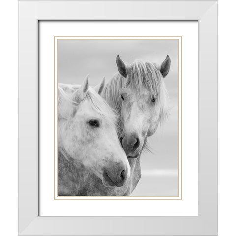 Horse Kisses White Modern Wood Framed Art Print with Double Matting by Walker, Carol