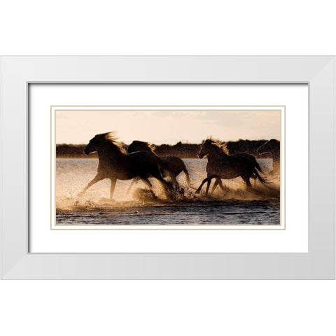 Shore Run White Modern Wood Framed Art Print with Double Matting by Walker, Carol
