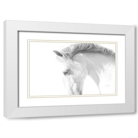 White Horse White Modern Wood Framed Art Print with Double Matting by Walker, Carol