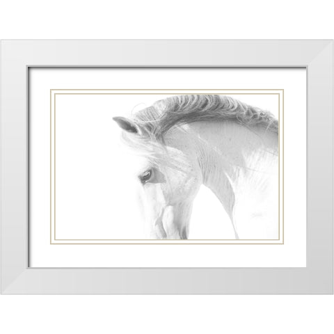 White Horse White Modern Wood Framed Art Print with Double Matting by Walker, Carol
