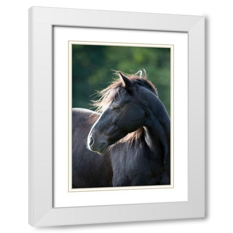 Mystic One White Modern Wood Framed Art Print with Double Matting by Walker, Carol