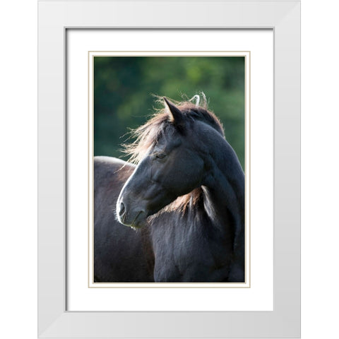 Mystic One White Modern Wood Framed Art Print with Double Matting by Walker, Carol