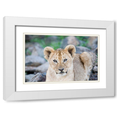 Up Close With Nature White Modern Wood Framed Art Print with Double Matting by Walker, Carol