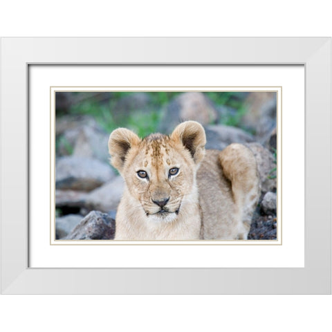 Up Close With Nature White Modern Wood Framed Art Print with Double Matting by Walker, Carol