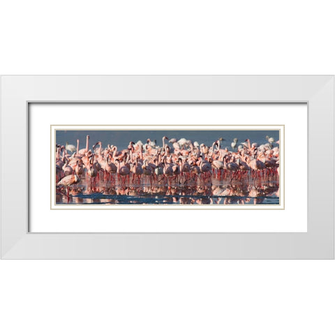 Flamingo Paradise White Modern Wood Framed Art Print with Double Matting by Walker, Carol