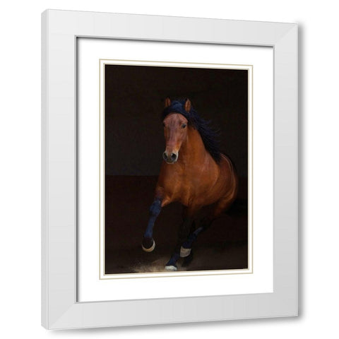 Night Runner White Modern Wood Framed Art Print with Double Matting by Walker, Carol