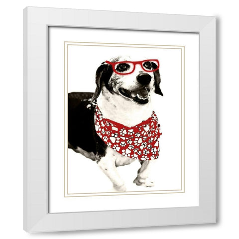 Cool Fella White Modern Wood Framed Art Print with Double Matting by Navas, Emily