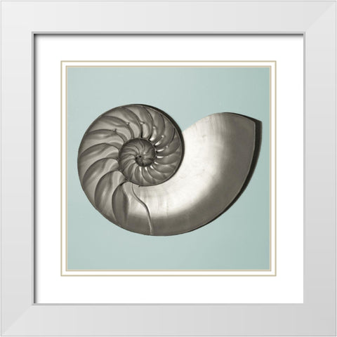 Noir Shell on Teal II White Modern Wood Framed Art Print with Double Matting by Rodriguez, Jairo