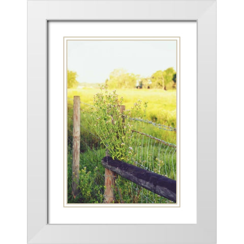 Flowers On The Fence II White Modern Wood Framed Art Print with Double Matting by Peck, Gail