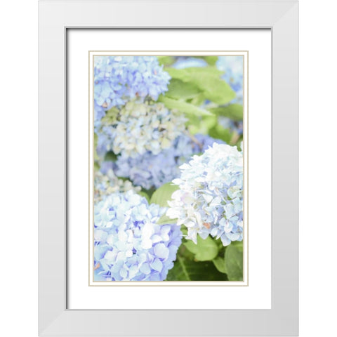 Blooms White Modern Wood Framed Art Print with Double Matting by Peck, Gail