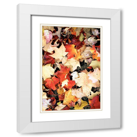 Autumn Falls White Modern Wood Framed Art Print with Double Matting by Peck, Gail