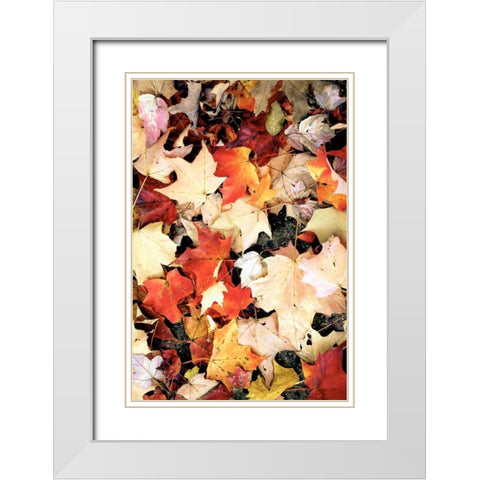 Autumn Falls White Modern Wood Framed Art Print with Double Matting by Peck, Gail