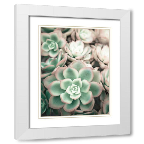 Teal Blooms White Modern Wood Framed Art Print with Double Matting by Peck, Gail