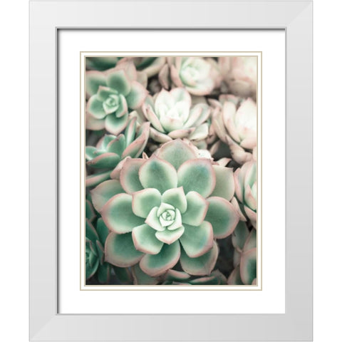 Teal Blooms White Modern Wood Framed Art Print with Double Matting by Peck, Gail
