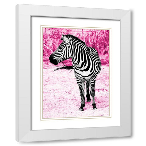 Zebra Set Free White Modern Wood Framed Art Print with Double Matting by Peck, Gail